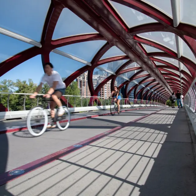 Calgary Pathways: River Routes, Cruising and Winter Access